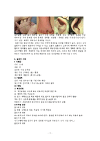 다운증후군 레포트-3