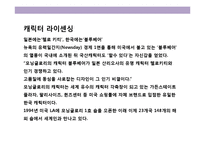 모닝글로리(Morning Glory)의 디자인 혁신 경영전략-12
