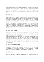 [정보통신윤리교육]정보통신윤리교육 목적,중요성,동향, 정보통신윤리교육 원칙,지도방법, 미국 사례, 정보통신윤리교육 제고방안-9