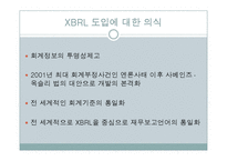 [회계정보시스템] XBRL 도입에 대한 문제점과 대안-2