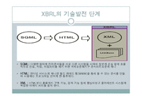 [회계정보시스템] XBRL 도입에 대한 문제점과 대안-7