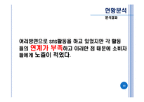 [광고조사] SNS를 이용한 마이애니카의 효과적인 Viral마케팅 전략방안-13