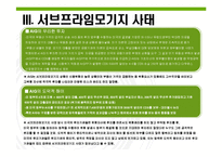 [외환론] 도덕적 해이에 따른 외환위기-7