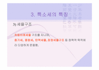 [특소세] 특별소비세-8