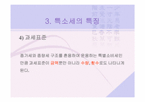 [특소세] 특별소비세-9