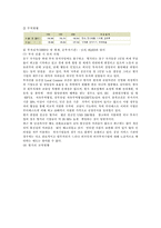 [해외직접투자] 한국기업의 대동구 현지경영을 위한 진출 전략-9
