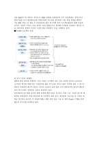 [해외직접투자] LG도약2005와 글로벌리제이션-12