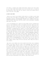 [비교정치] 비정규직 노동자의 실태와 문제 개선방안-3