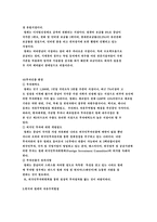 [해외직접투자] 이건산업의 칠레 직접투자전략-5