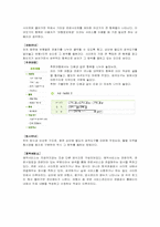 [정보시스템] 한국관광공사 경영정보시스템-11