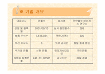 [투자론] ㈜안철수연구소 기업분석과 투자분석-2