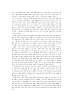 [인터넷비즈니스] 델컴퓨터 기업사례-13