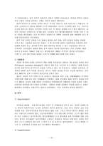 [국제경영] 태평양화장품 중국진출전략과 성공요인-13