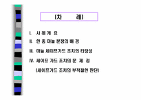 [마늘세이프가드] 한중 마늘분쟁사례분석-2
