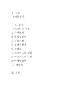 [인터넷비지니스] 인터넷쇼핑몰 `위즈위드` 분석-1