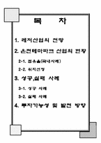 [관광] 온천 테마파크 투자 사업계획서-3
