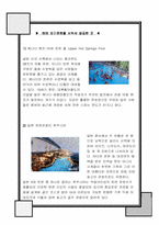 [관광] 온천 테마파크 투자 사업계획서-8