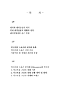 [관광] 익스트림스포츠투자계획 및 사업계획서-1