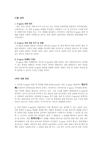 [관광] 익스트림스포츠투자계획 및 사업계획서-15