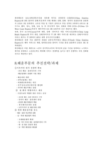 [국제운송론] 한진해운 경영전략과 중국진출-12