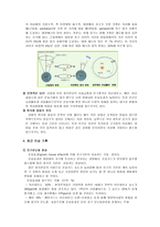 지구의 기후변화-4