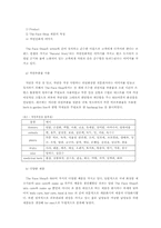 [마케팅분석] THE FACE SHOP 더페이스샵 마케팅분석-8