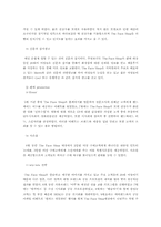 [마케팅분석] THE FACE SHOP 더페이스샵 마케팅분석-16