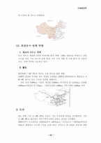 [국제경영] 대우종합기계의 사례를 통한 중국진출전략- 현지화 및 마케팅전략-10