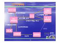 [국제상학] 전자무역의 특징과 성과 및 문제점-3