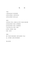 [국제운송론] 인천국제공항 개발전략-2