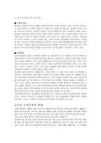 [국제운송론] 인천국제공항 개발전략-7