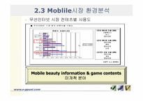 [사업계획서] 온라인상의 뷰티정보제공과 모바일상의 뷰티오락게임 정보제공-14