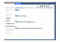 국제통화제도(국제금융론)-4