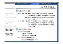 국제통화제도(국제금융론)-12