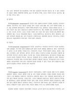 루돌프슈타이너의 생애와 사상-8