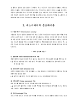 [매스커뮤니케이션론] 매스미디어의 이론-3