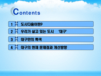 대구의 현재 문제점과 개선방향-2