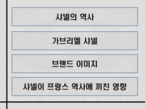 샤넬의 역사와 프랑스역사에 끼친 영향-2