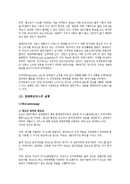 [관광학] 관강 마케팅의 특성과 사례 조사-9