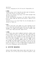 [국제경영] 글로벌 기업 성공사례 분석-스포츠용품 전문 기업 나이키-4