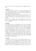 [국제경영] 글로벌 기업 성공사례 분석-스포츠용품 전문 기업 나이키-5
