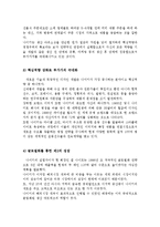 [국제경영] 글로벌 기업 성공사례 분석-스포츠용품 전문 기업 나이키-13