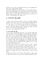 [국제경영] 글로벌 기업 성공사례 분석-스포츠용품 전문 기업 나이키-14