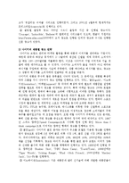 [국제경영] 글로벌 기업 성공사례 분석-스포츠용품 전문 기업 나이키-15