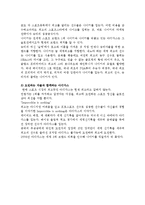 [국제경영] 글로벌 기업 성공사례 분석-스포츠용품 전문 기업 나이키-18