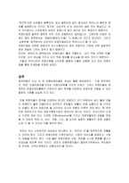 [마케팅 원론] 안동 하회마을 마케팅 믹스 전략-9
