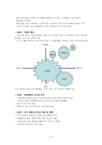 [경영학] 롯데주류 `처음처럼` vs 진로 `참이슬` 경쟁전략-14