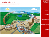 [국제경영] 바이오에너지 사업 페루 진출 방안-6