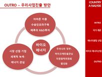 [국제경영] 바이오에너지 사업 페루 진출 방안-7