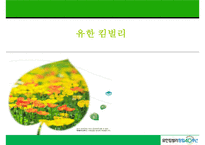 [조직행동론] 유한 킴벌리 조직설계 평가-1